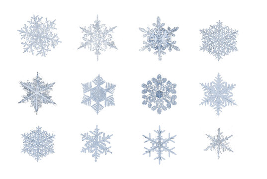 Real snowflake collection isolated PNG easy to use