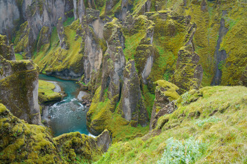 Fjaðrárgljúfur canyon (landscape of Iceland)