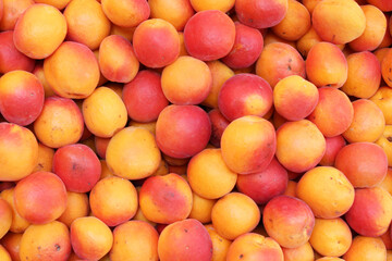natural background of fresh apricots