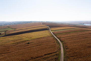 Fototapeta na wymiar landscape with field in autumn