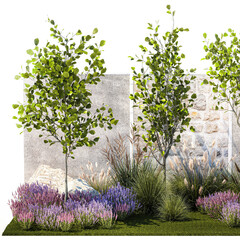  Garden with trees bushes lavender flowers feather grass on a white background