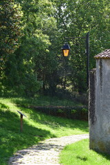 footpath in the park
