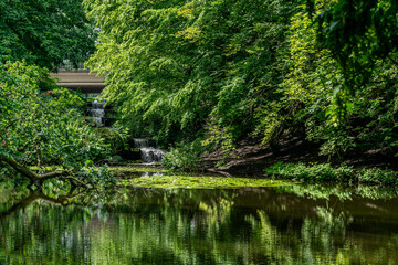 japanese garden with pond hamburg 