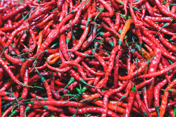 Fototapeta premium Fresh Red Chili 02