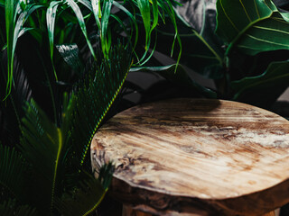 Table wood podium on green plant background, natural product present placement pedestal stand display,spring or summer concep
