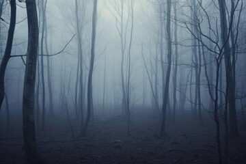Panorama of foggy forest.