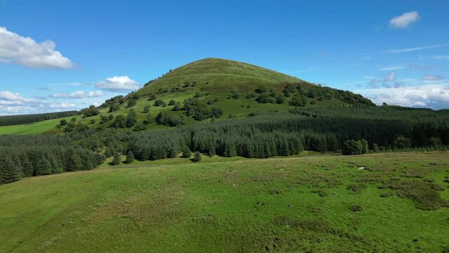 Flight towards isolated green hill Great Mell Fell over pine forest on bright summer day. English Lake District, Cumbria, UK.