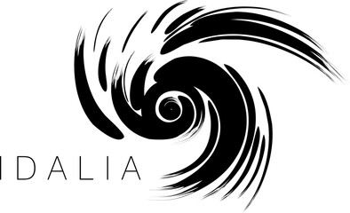 An abstract vector illustration of Category 4 Hurricane Idalia in black brush strokes on an isolated white background - obrazy, fototapety, plakaty