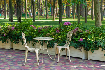 Table and chairs on the summer terrace of the cafe near the flower beds in the city park