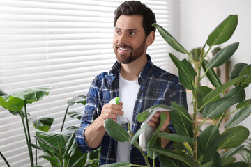 Man spraying beautiful potted houseplants with water indoors