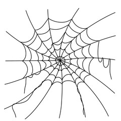 Obraz premium Halloween spider web and spider black doodle outline. 