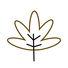 Leaf Illustration