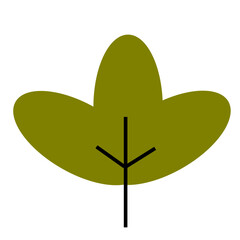 Leaf Illustration