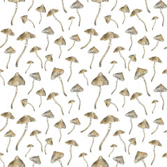 watercolor seamless pattern with poisonous mushrooms hand drawn illustration, family of inedible dangerous mushrooms, toadstool, fly agaric, white toadstool