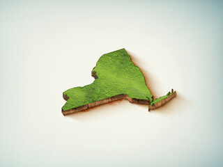 High-quality New York America 3D soil map, New York USA 3D soil map render.