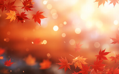 maple leaf in autumn with maple tree under sunlight background