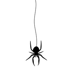 Halloween Black Spider hanging doodle.	
