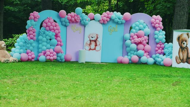Boy or Girl gender reveal party outside, beautiful  backdrop with colored Pink and blue ballons and teddy bears for guests to take pictures. Mother and father to announce the gender of the baby. Wide
