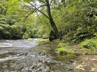 Obraz premium 涼しい渓谷