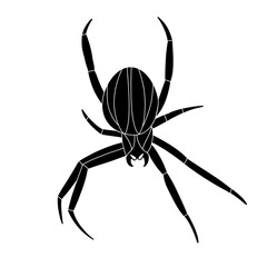 Spider black doodle outline.	
