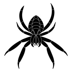 Spider black doodle outline.	
