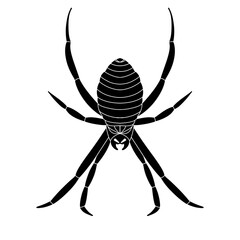 Spider black doodle outline.	
