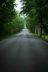 road in the forest