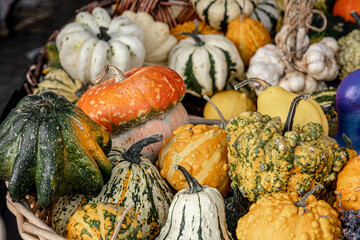 A colorful autumn ornamental gourds and pumpkins