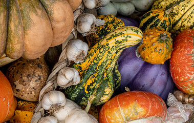 A colorful autumn ornamental gourds and pumpkins