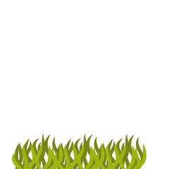 Aquarium garden illustration