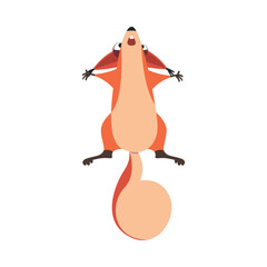 Cute Squirrel with Bushy Tail Jumping Up Vector Illustration