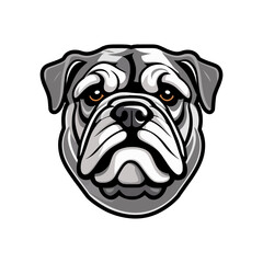 grey bulldog head portrait with good quality