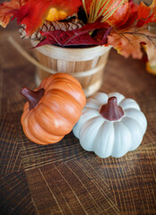 Autumn still life with pumpkin and vegetables