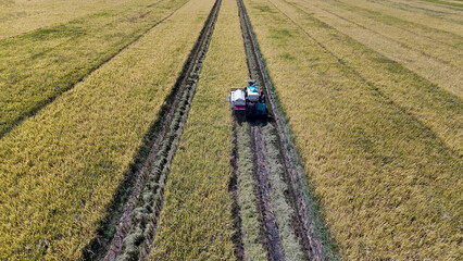 Rice harvesting machine for harvesting rice in rice fields