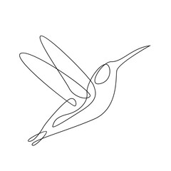 hummingbird line illustration