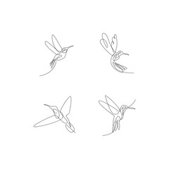 hummingbird line illustration