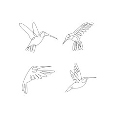 hummingbird line illustration