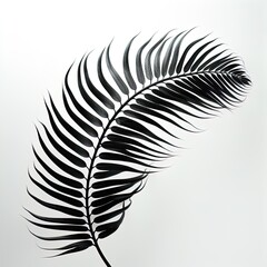 abstraction fern, black and white on white background.