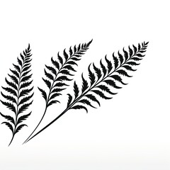abstraction fern, black and white on white background.