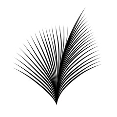 abstraction palm leaves, black and white on white background.