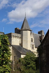Fototapeta na wymiar Château de Montsoreau 