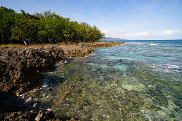 The rocky coast of Malekula, Vanuatu