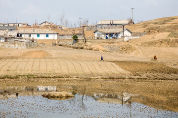 NORTH KOREA: rural village in poor countryside, between Sinuiju and Pyongyang, Democratic Peoples's Republic of Korea (DPRK)