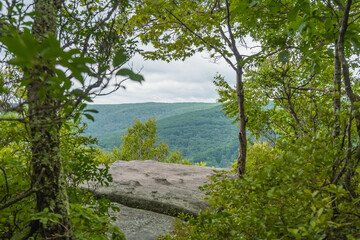 Allegheny state forest viewing platform rimrock Pa, copy space spring, summer landscape background