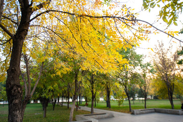 Beautiful and colorful autumn scenery in the mountains: green, yellow, orange, red