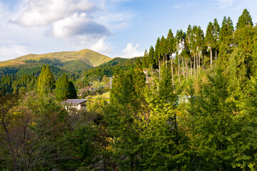 Forest and mountain on a sunny day, seen from Kurokawa Onsen, Japan