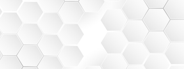 Luxury white and grey hexagonal abstract background. Geometric 3d texture illustration. Abstract hexagonal concept technology, banner and wallpaper background.