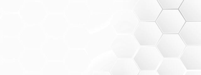 Naklejka premium Luxury white and grey hexagonal abstract background. Geometric 3d texture illustration. Abstract hexagonal concept technology, banner and wallpaper background.