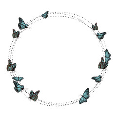 蝶たちが舞い踊るイラストフレーム・枠