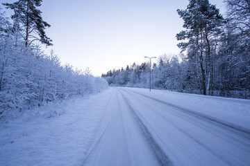 Obraz premium Winter evening forest with road covered with snow